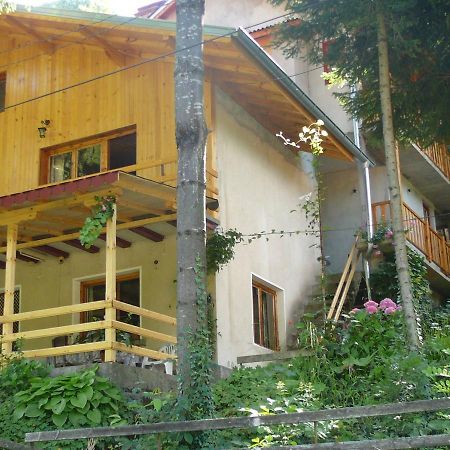 Mountain Sun Guest House Chiflik Exteriör bild